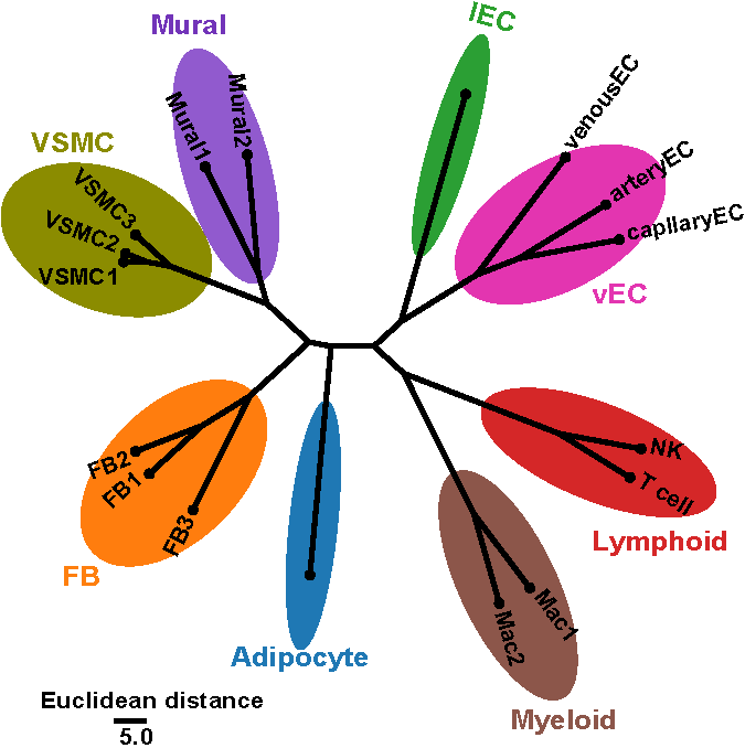 hierarchical clustering
